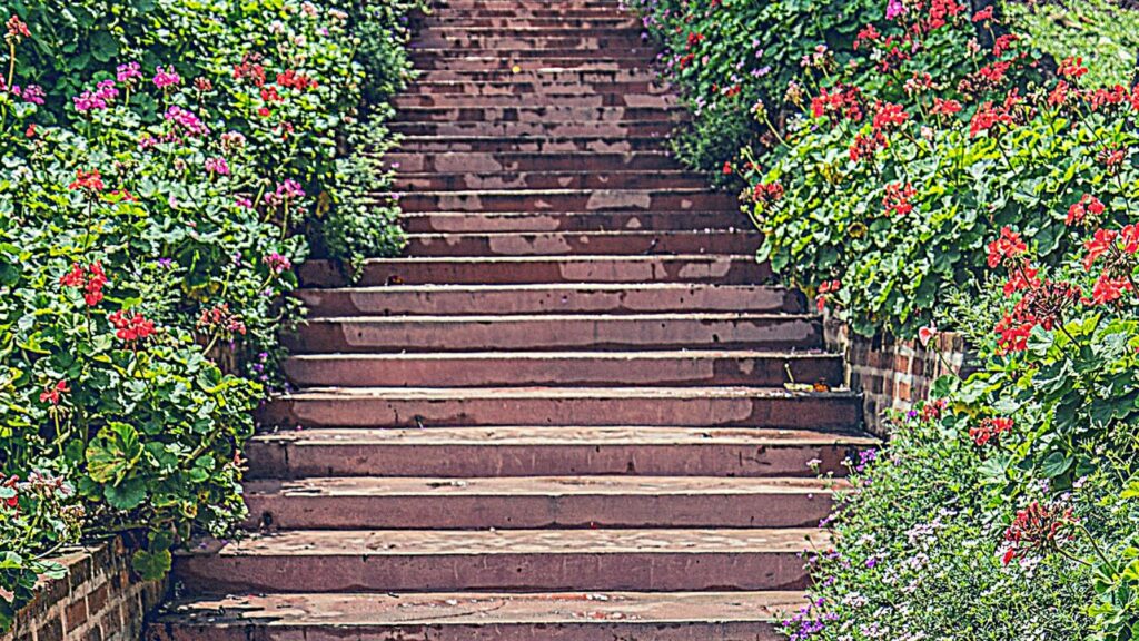 Der Weg zur Ordnung ist wie eine Treppe.